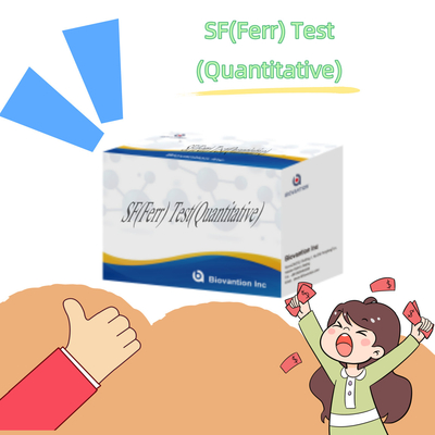 คู่มือการทดสอบ ELISA ที่แม่นยําและรวดเร็ว SF ((Ferr) เครื่องมือการแพทย์เพื่อการตรวจหาปริมาณของเฟอริตินในกรดเลือด