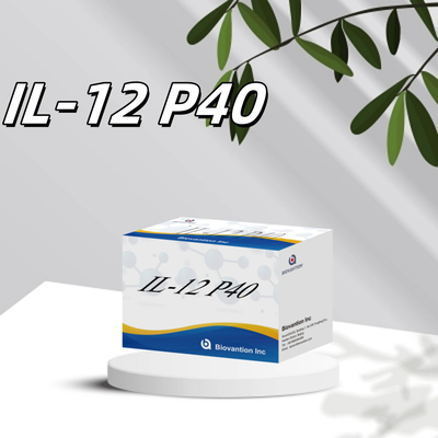 96 T เซรั่ม 98% ความเฉพาะเฉพาะ ELISA RUO Test Kit มนุษย์ IL-12 P40