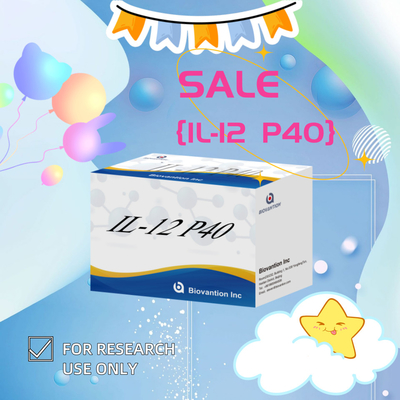 96 T เซรั่ม 98% ความเฉพาะเฉพาะ ELISA RUO Test Kit มนุษย์ IL-12 P40