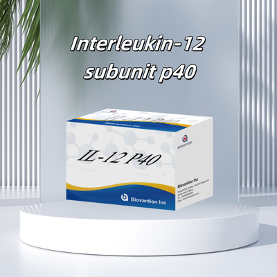 96 T เซรั่ม 98% ความเฉพาะเฉพาะ ELISA RUO Test Kit มนุษย์ IL-12 P40