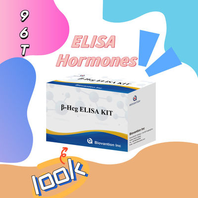 β-hCG ((ปริมาณ) 1 ชั่วโมง Elisa Test Kit สําหรับความรู้สึกและความเฉพาะของแอนติบอดี