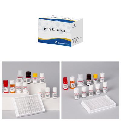 β-hCG ((ปริมาณ) 1 ชั่วโมง Elisa Test Kit สําหรับความรู้สึกและความเฉพาะของแอนติบอดี