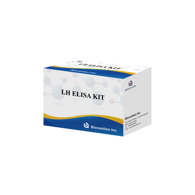 Biovantion ELISA Test Kit สําหรับการวินิจฉัย ฮอร์โมน Luteinizing มนุษย์