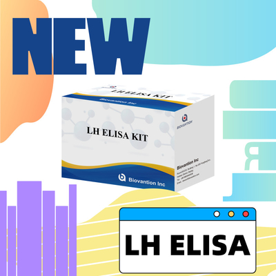 Biovantion ELISA Test Kit สําหรับการวินิจฉัย ฮอร์โมน Luteinizing มนุษย์