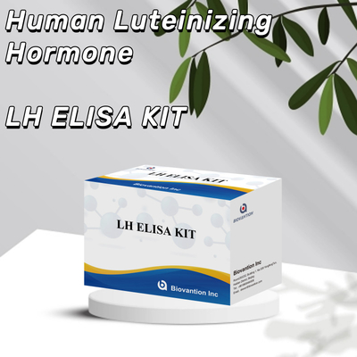 Biovantion ELISA Test Kit สําหรับการวินิจฉัย ฮอร์โมน Luteinizing มนุษย์