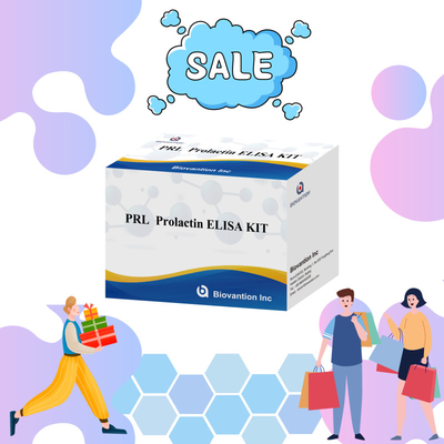 PRL หอร์โมนมนุษย์ปริมาณ คู่มือวัสดุวัสดุตรวจสอบ