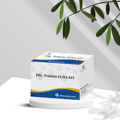 PRL หอร์โมนมนุษย์ปริมาณ คู่มือวัสดุวัสดุตรวจสอบ