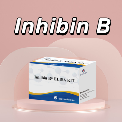 Biovantion Inhibin B Elisa Test Kit สําหรับการวินิจฉัยในมนุษย์ที่มี 96T