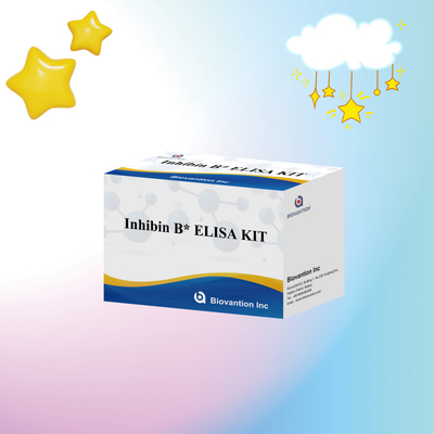 Biovantion Inhibin B Elisa Test Kit สําหรับการวินิจฉัยในมนุษย์ที่มี 96T