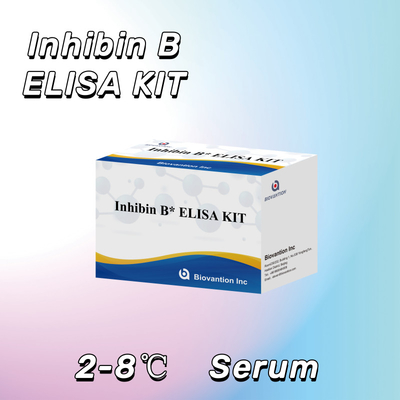 Biovantion Inhibin B Elisa Test Kit สําหรับการวินิจฉัยในมนุษย์ที่มี 96T