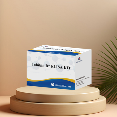 Biovantion Inhibin B Elisa Test Kit สําหรับการวินิจฉัยในมนุษย์ที่มี 96T