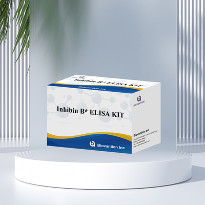 Biovantion Inhibin B Elisa Test Kit สําหรับการวินิจฉัยในมนุษย์ที่มี 96T