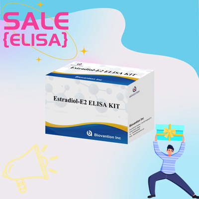 Biovantion Estradiol Quantitative 96-Well Plate Test Kit สําหรับตัวอย่างเซรั่มที่มีความรู้สึกสูงขึ้น