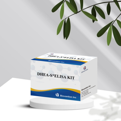 Biovantion Test Dehydroepiandrosteronesulfate DHEA-S ชุดทดสอบ Elisa อ่อนโยน