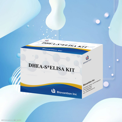 Biovantion Test Dehydroepiandrosteronesulfate DHEA-S ชุดทดสอบ Elisa อ่อนโยน