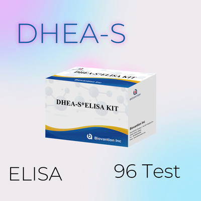 Biovantion Test Dehydroepiandrosteronesulfate DHEA-S ชุดทดสอบ Elisa อ่อนโยน