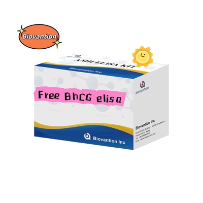 ฟรี BhCG Elisa Test Kit เซรั่มเก็บ 2-8.C อายุการใช้ 18 วัน