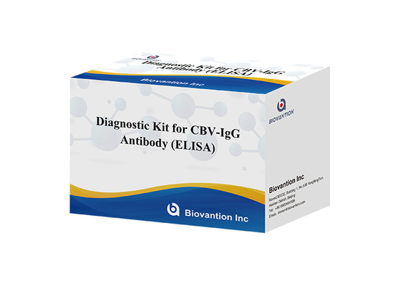 ชุดวินิจฉัยสําหรับแอนติบอดี CBV-IgG ชุดทดสอบ ELISA