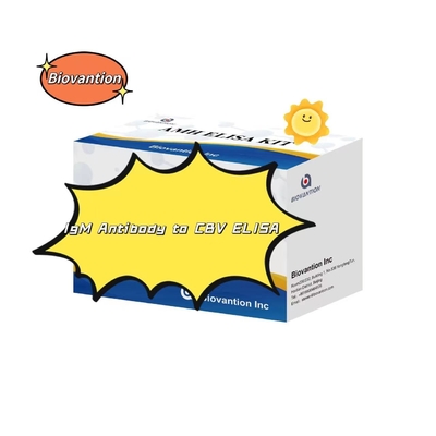 ชุดวินิจฉัยสําหรับ IgM แอนติบอดีต่อ CBV Elisa Test Kit 50μL Serum การวินิจฉัยทางการแพทย์