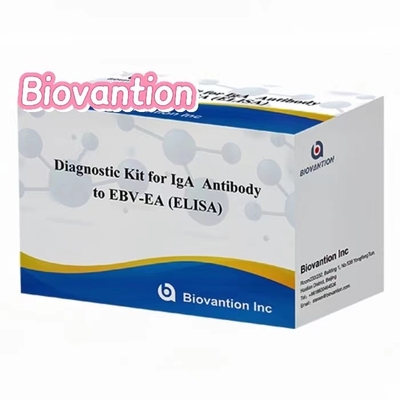 EBV-EA Elisa Test Kit คู่มือวินิจฉัยสําหรับ IgA แอนติบอดีความแม่นยําสูง
