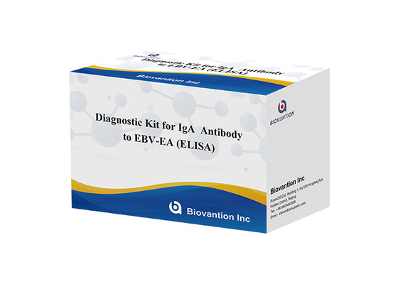 EBV-EA Elisa Test Kit คู่มือวินิจฉัยสําหรับ IgA แอนติบอดีความแม่นยําสูง