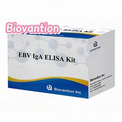 IgA แอนติบอดีต่อ EBNA1 Elisa Test Kit เซรั่ม 50μL รูปแบบของชุดตัวอย่าง