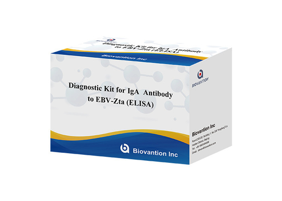 คิทวินิจฉัยสําหรับ IgA แอนติบอดีต่อ EBV-Zta ELISA TEST KIT คิทวินิจฉัยการสกัดภูมิคุ้มกัน