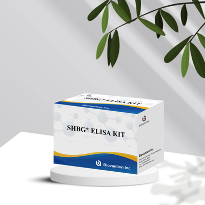 Biovantion SHBG Test Sensitive Elisa Test Kit ชุดทดสอบที่มีความรู้สึก