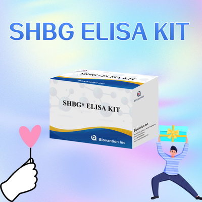 Biovantion SHBG Test Sensitive Elisa Test Kit ชุดทดสอบที่มีความรู้สึก
