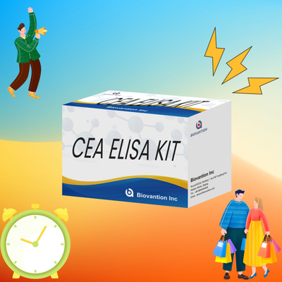 CE การอนุมัติการใช้ในมนุษย์ CEA ชุดทดสอบ ELISA ปริมาณ การทดสอบเลือดหรือกรดเลือด 96T