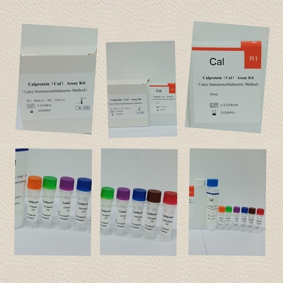 Biovantion IVD การกําหนดปริมาณของ Calprotectin ในขี้