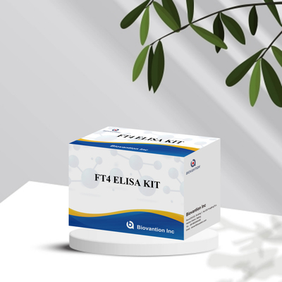 FT4 กล่องทดสอบการวินิจฉัยทางการแพทย์ที่เชื่อมโยงกับเอ็นไซม์ (Enzyme-linked Immunosorbent Assay Test Kit) ด้วยความเฉพาะสูง