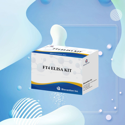 FT4 กล่องทดสอบการวินิจฉัยทางการแพทย์ที่เชื่อมโยงกับเอ็นไซม์ (Enzyme-linked Immunosorbent Assay Test Kit) ด้วยความเฉพาะสูง