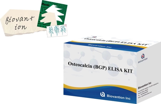 Osteocalcin BGP Diagnostic ELISA Kit สําหรับการตรวจพบโรคติดต่ออย่างรวดเร็ว