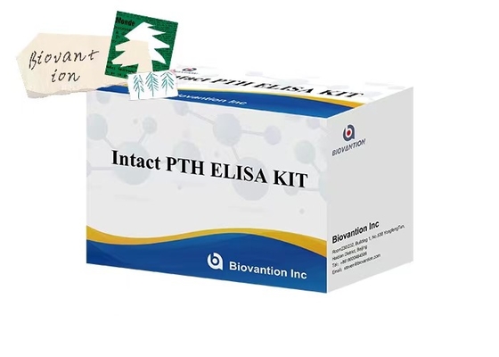 ชุดทดสอบ ELISA สําหรับตัวอย่างพลาสมา PTH 96 ที่ไม่เสียหาย มีเวลาในการวัด 1 ชั่วโมง