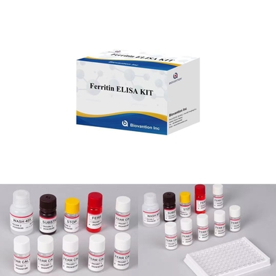 Ferritin IVD Elisa สารอนุรักษ์สัตว์สําหรับตัวอย่างพลาสมาเซรม