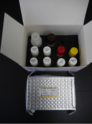 ชุดทดสอบ AMH ELISA 3 ชั่วโมง 18 เดือน อายุการใช้งานด้วย CE ISO13485