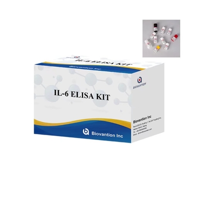 IL 6 Elisa Test Kit เวลาทดสอบ 1 ชั่วโมง 96 การทดสอบ ELISA Kit สําหรับการใช้ในห้องปฏิบัติการ IVD