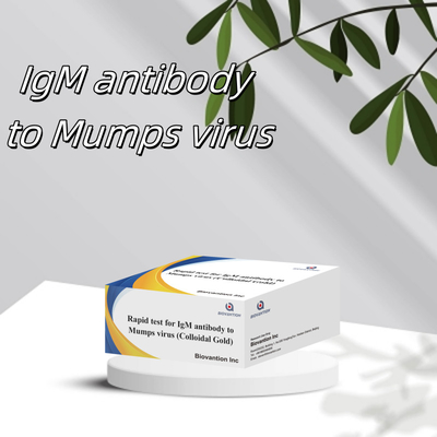 การทดสอบรวดเร็วและแม่นยําของทองเหลืองคอลโลไดล IgM แอนติบอดีต่อไวรัสแมปป์ ในรูปแบบคาสเก็ต / สตริปสําหรับผล