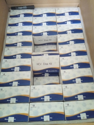 HCV ELISA Test Kit ตัวอย่างแบบบูลด์ โดยไม่มีการปฏิกิริยาข้าม เพื่อการทดสอบที่แม่นยํา