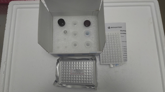ชนิดตัวอย่างพลาสมาของมนุษย์ IGF-1 RUO ELISA Assay Kit สําหรับการวินิจฉัยทางการแพทย์