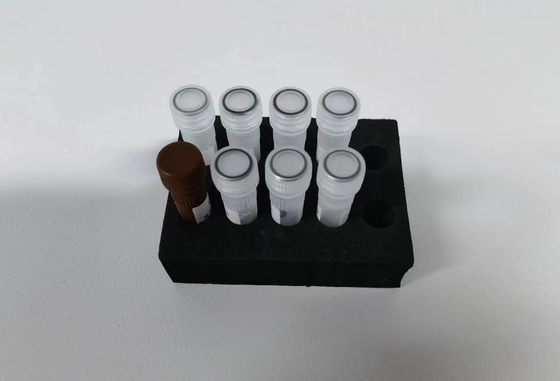 เชื้อไวรัสตับอักเสบ B HBV PCR คิตปริมาณ ความรู้สึกแบบตัวอย่าง คิตทดสอบแบบตัวอย่าง ด้วย 96 การทดสอบ