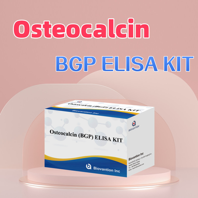 ชุดตรวจพบสําหรับ Osteocalcin BGP สําหรับมนุษย์
