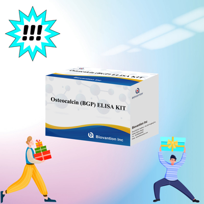 ชุดตรวจพบสําหรับ Osteocalcin BGP สําหรับมนุษย์
