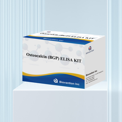 ชุดตรวจพบสําหรับ Osteocalcin BGP สําหรับมนุษย์