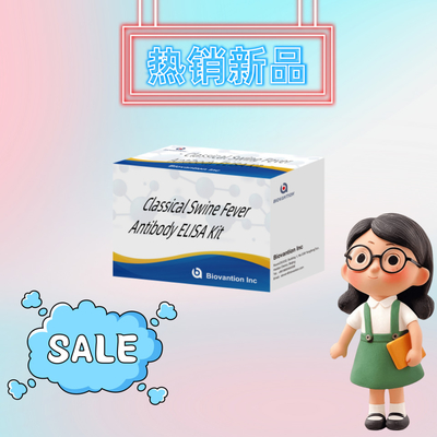 ชุดตรวจพบสําหรับ CSFV แอนติบอดีโรคหมูคลาสสิค สําหรับสัตว์ตรวจพบสารปฏิกิริยา 192T