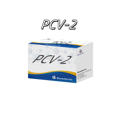 การทดสอบ WB/S/P PCV-2 ELISA สําหรับสารปฏิกิริยาสัตว์
