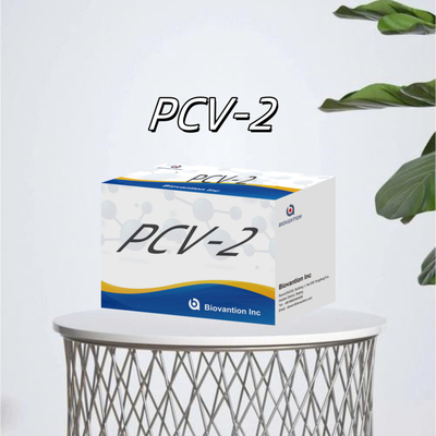 การทดสอบ WB/S/P PCV-2 ELISA สําหรับสารปฏิกิริยาสัตว์