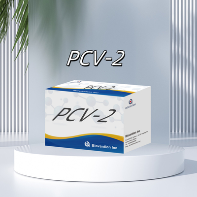 การทดสอบ WB/S/P PCV-2 ELISA สําหรับสารปฏิกิริยาสัตว์