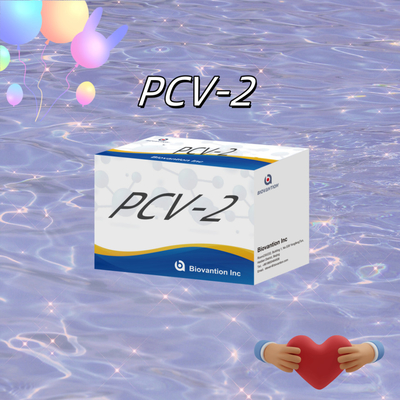 การทดสอบ WB/S/P PCV-2 ELISA สําหรับสารปฏิกิริยาสัตว์
